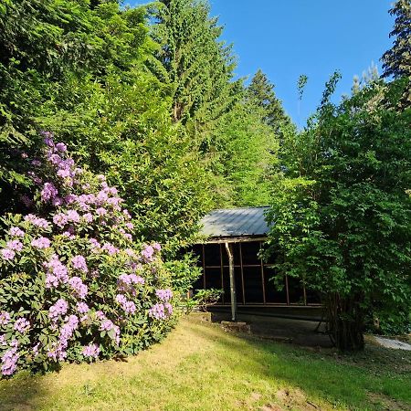 Chalet De La Foret 1 A 6 Pers Saint-Sauveur  Kültér fotó