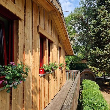 Chalet De La Foret 1 A 6 Pers Saint-Sauveur  Kültér fotó