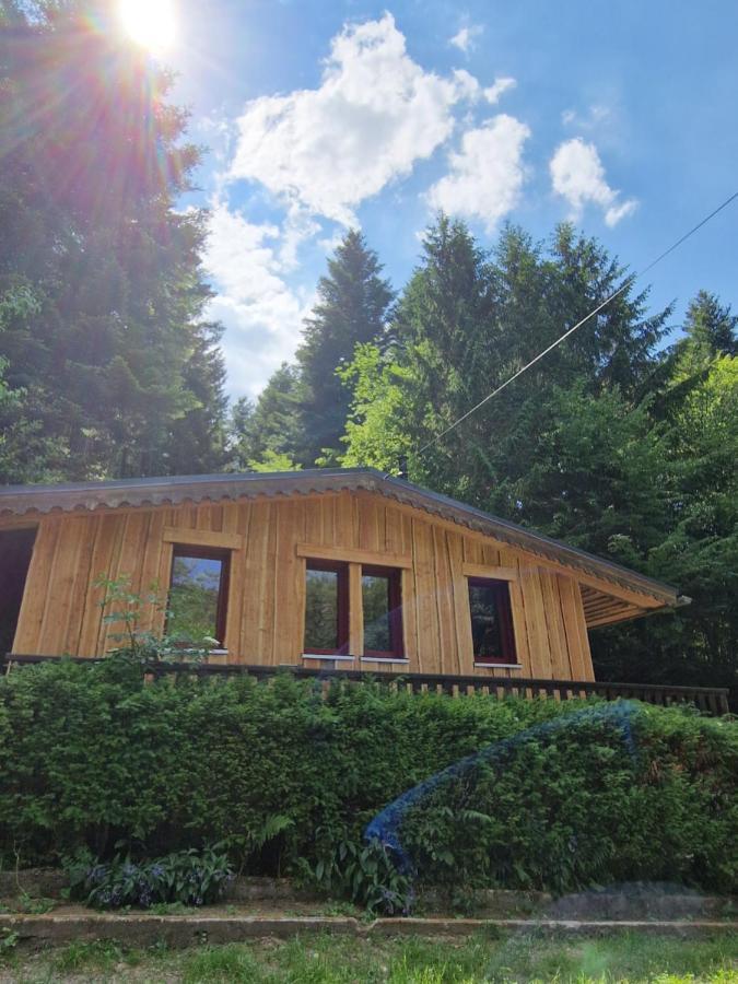 Chalet De La Foret 1 A 6 Pers Saint-Sauveur  Kültér fotó